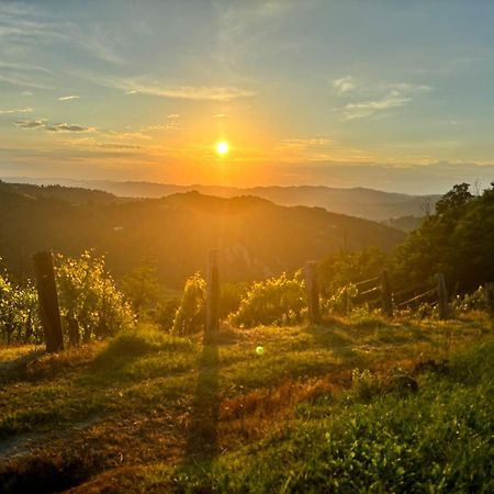 1929 Wine Food Relax Agriturismo Acqui Terme Exterior photo