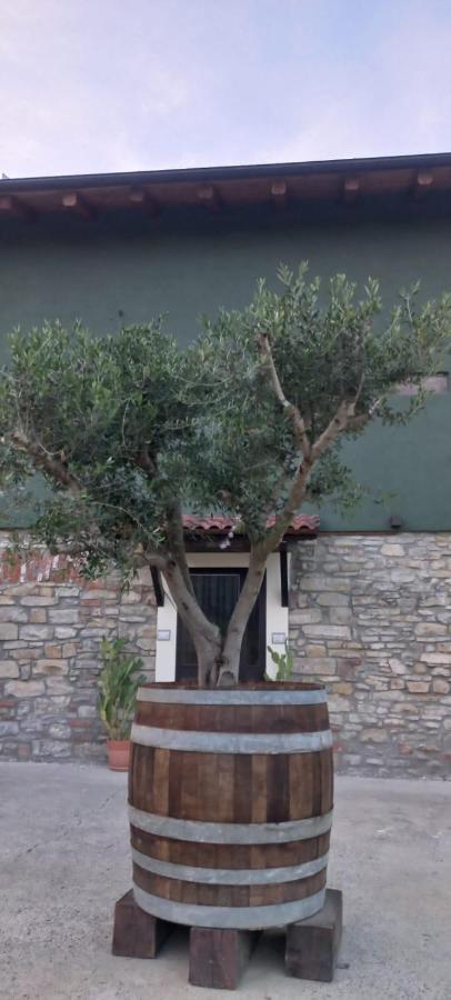 1929 Wine Food Relax Agriturismo Acqui Terme Exterior photo
