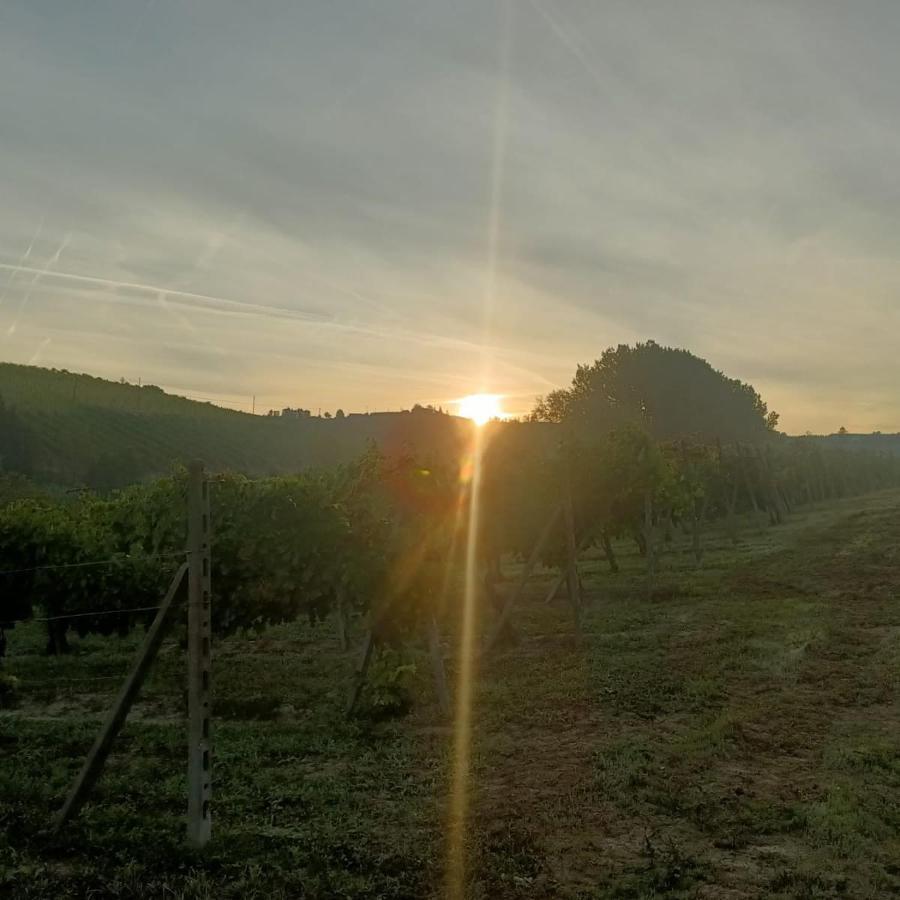 1929 Wine Food Relax Agriturismo Acqui Terme Exterior photo